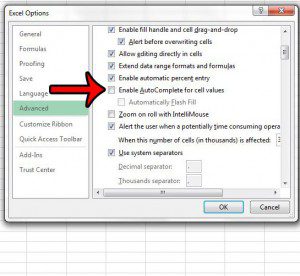 disable autocomplete in excel 2013