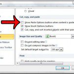 disable the auto fill options button in excel 2010