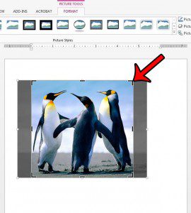 how to crop a picture in word 2013
