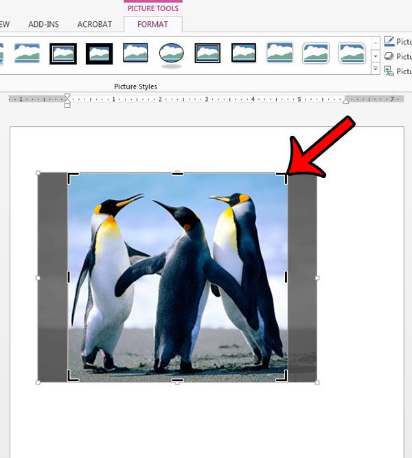 How to Crop a Picture in Word 2013 - 56