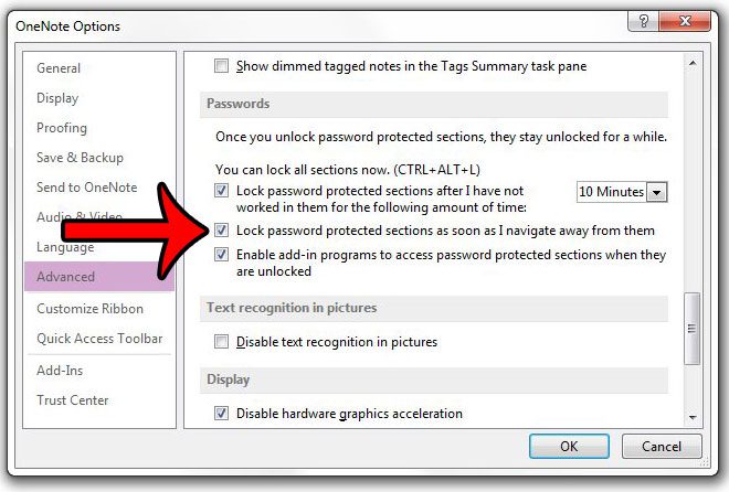 immediately lock password protected section in onenote 2013
