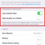 turn off cellular data for music app