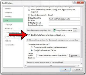 disable autorecover for an individual excel 2013 workbook