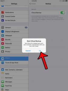 start backing your iPad up in iCloud