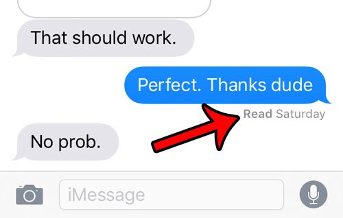 check if iphone text message has been read or not