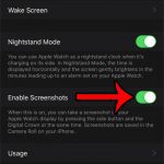 how to enable screenshots on the Apple Watch