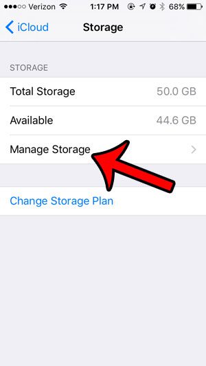 tap the Manage Storage button