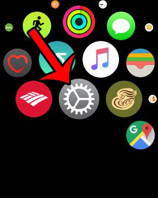 open the settings app on the watch