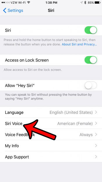 select a new voice and gender for Siri