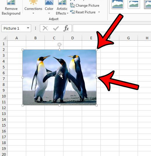resize a picture in excel 2013 with the handles