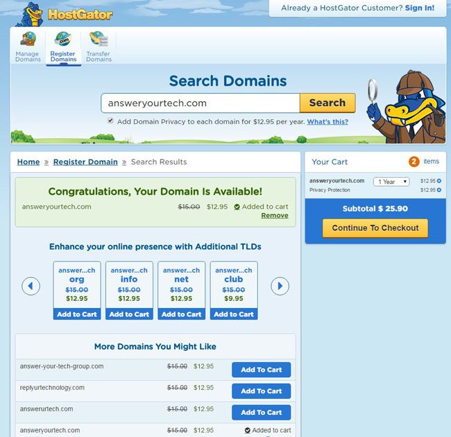 select the domain name to add it to the cart