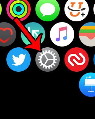 how to open the settings app on the apple watch