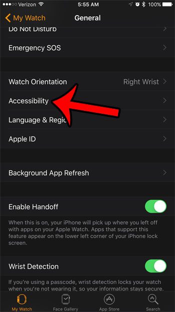 open the watch accessibility menu