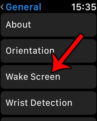 how to keep apple watch screen lit up