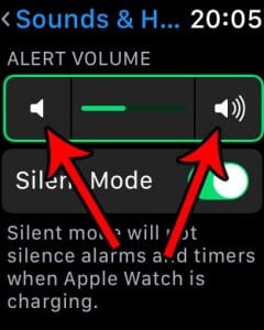 how to change alert volume on the apple watch