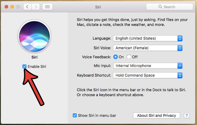 how to turn off siri on a macbook air