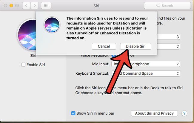 how to disable siri on a macbook air