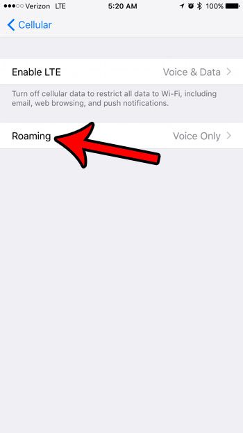 how to check roaming settings on iphone
