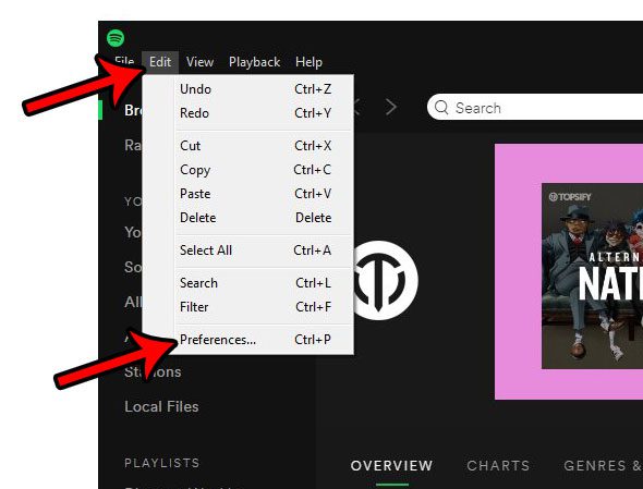 how to minimize spotify to the tray