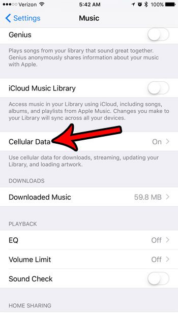 open the cellular data menu for the iphone music app