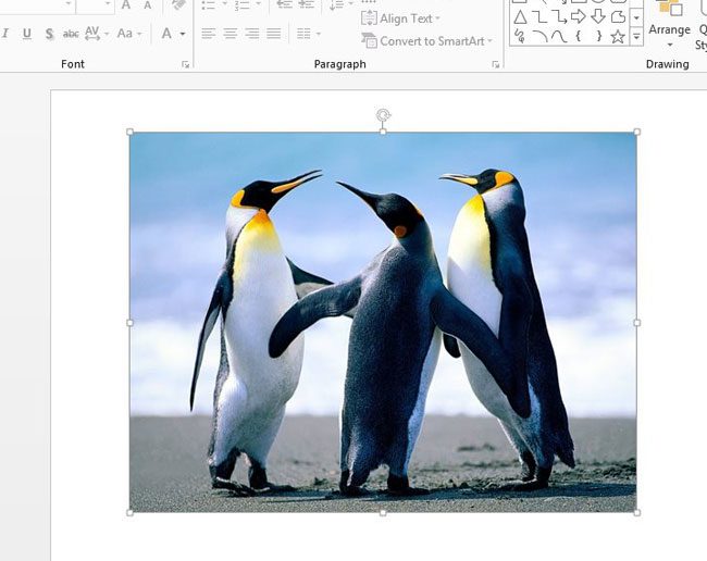 how to put a border around a picture in powerpoint 2013