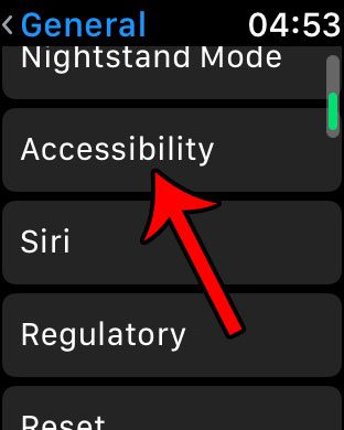 How to Turn on VoiceOver on the Apple Watch - 32
