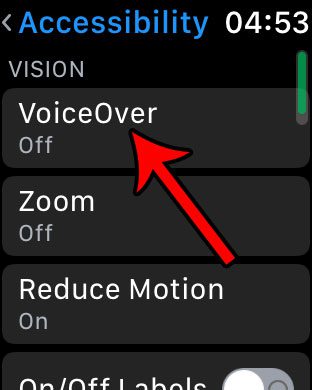 select the voiceover option
