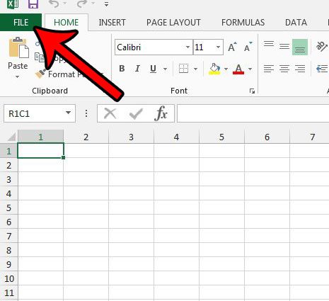 click the excel 2013 file tab