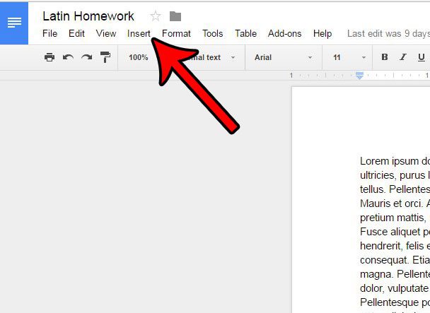 How to Add Custom Page Numbers in Google Docs - 74