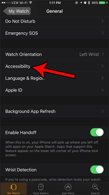 apple watch accessibility menu