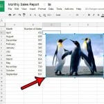 how to insert picture in google sheets