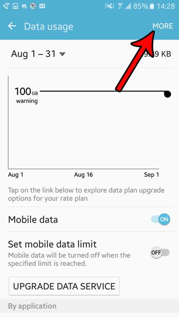 more on data usage screen