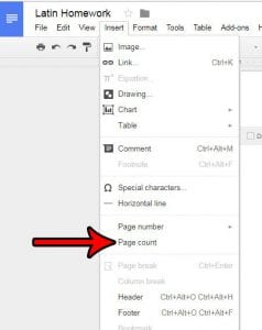 how to add page count in google docs