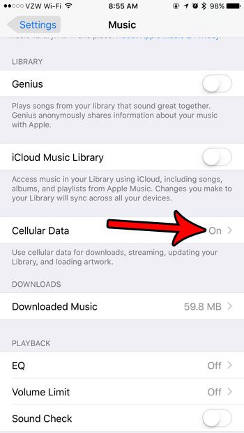 iphone music cellular data