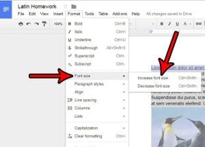 how to increase font size in google docs