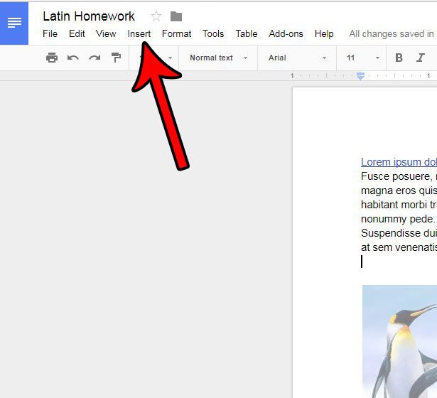 how to insert line in google docs