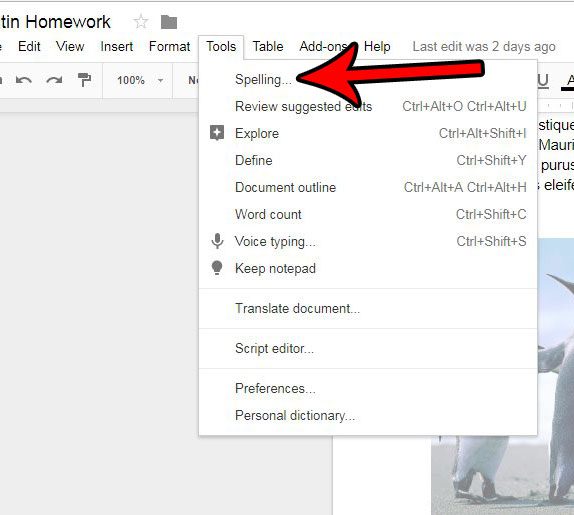 how to run the spell checker in google docs