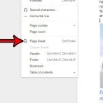 how to add a page break in google docs