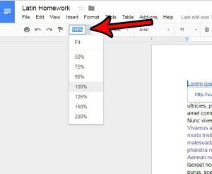 how zoom in zoom out google docs