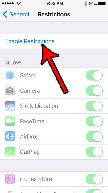 enable restrictions on iphone se