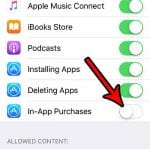 how to block in app purchases on iphone se