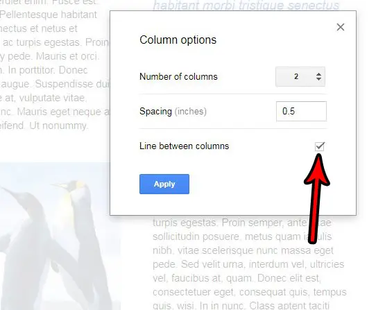 how put line between columns in google docs