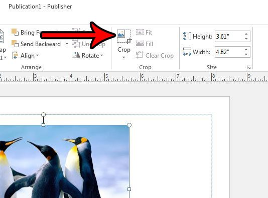 cropping pictures in publisher 2013