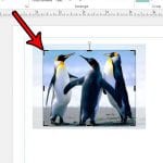 how to crop a picture in publisher 2013