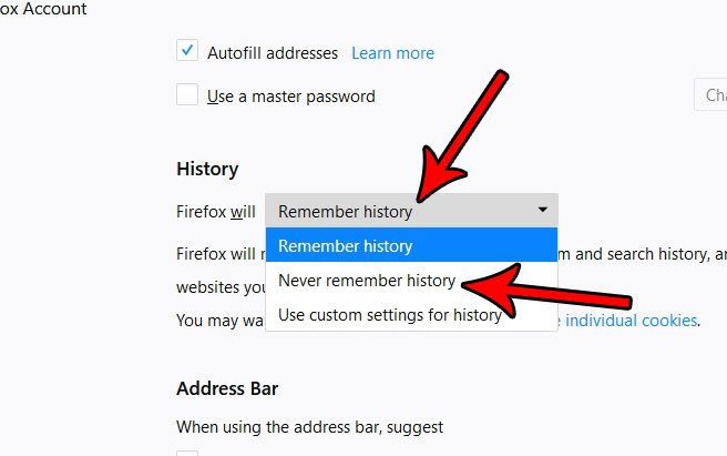 how to never remember history in firefox