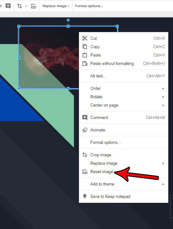 How to Reset a Picture to Its Default State in Google Slides - 65