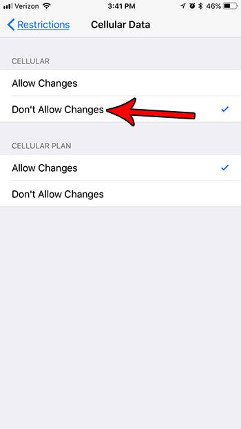dont allow netflix cellular data changes iphone