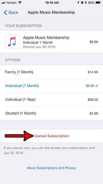 iphone can i cancel apple music subscription