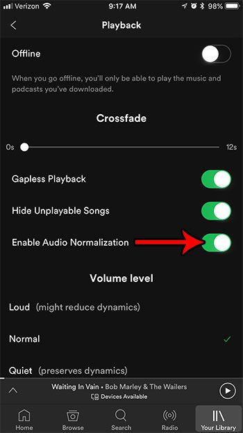 how to enable audio normalization in spotify on an iphone