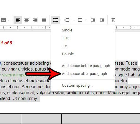 line spacing after a paragraph in google docs